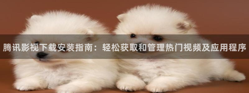 飘零电影网最新电影
