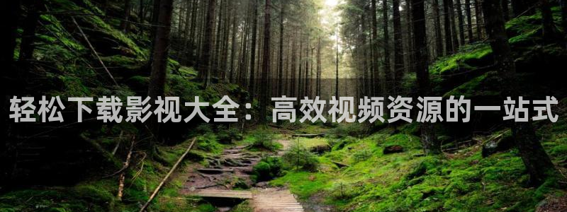 飘零影院最新电视剧：轻松下载影视大全：高效视频资源的一站式