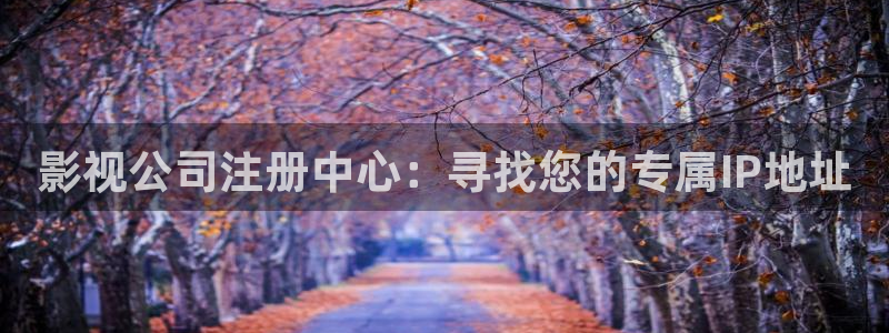 未来影院飘零影院：影视公司注册中心：寻找您的专属IP地址