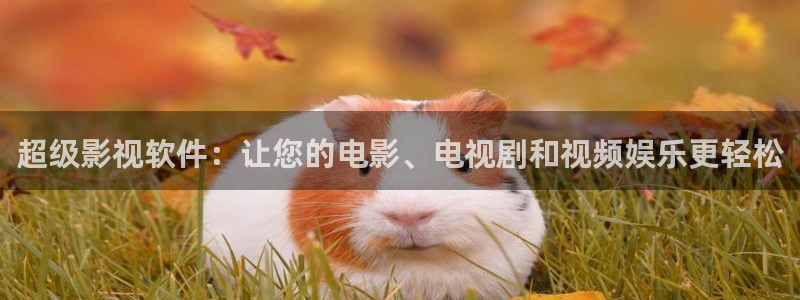飘零影院伦理片