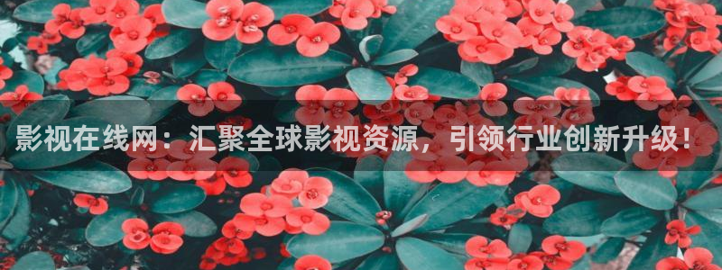 飘零影院电视剧