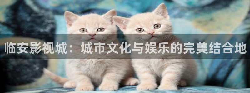 飘零影院伦理片免费观看