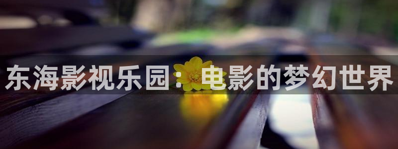 飘零影视全集完整版在线观看